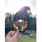 Spider the Halloween Gnome in direct sunlight.