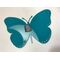 Adhesive on butterfly