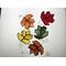 Maple leaves 5 Color Set (top l-r): orange, red, green, autumn flame, and yellow.