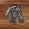 American Saddlebred in Gray.