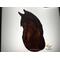 Arabian Horse in Chestnut, shown on a light box- light on.