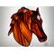 Morgan Horse in Chestnut with star marking, shown on light box- light on.