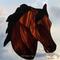 Morgan Horse in Bay.