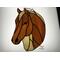 Quarter Horse in Palomino, shown on light box- light on.