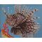 hand-painted, Lionfish