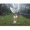 Little Angel Feathers Wind Chime (in pink) in direct sunlight.