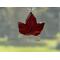 Red Maple Leaf in direct sunlight.