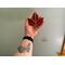 Red Maple Leaf being held for size reference.