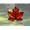 Sugar Maple Leaf in direct sunlight.