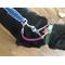 Dog Leash Safety Strap ~ Backup Strap modeled by Mosley the black lab