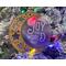 engraved Christmas Ornament Set