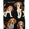 Beagle dog walking  pick up bag holder in black white and tan wristlet and cross body strap Great Hiking Accessory