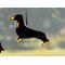 Dachshund ornament- black and tan- in direct sunlight.