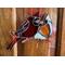 Cardinal Ornament hanging on a wall.