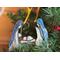 Close up of Nativity Ornament- light skin- hanging in a Christmas Tree.
