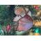 Close up of Poodle Ornament- Apricot- hanging in Christmas Tree.