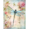 butterfly and dragon fly