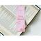this cowboy romance bookmark has a pink background with a little bit of a darker pink boarder on top and bottom left. there is a cactus in the bottom right. In the middle of the bookmark there are words Cowboy Romance with a cute design between