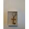 Handcrafted Wooden Cherry Cross Keychain. Unique one of a kind.