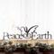 Christmas peace on earth metal wall decor with peace dove silhouette, in raw steel.