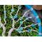 detail close up glass beads entwined into twisted wire branches