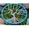 tree is laying down in a bed of moss highlighting the bright blue colors