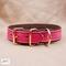 Premium Pet Collar Jon B Leather