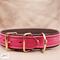 Premium Pet Collar Jon B Leather