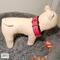 Premium Pet Collar Jon B Leather