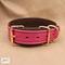 Premium Pet Collar Jon B Leather
