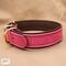 Premium Pet Collar Jon B Leather