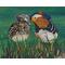 Two Mallard Ducks Painting "This Is Love"