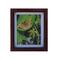 Common Butterfly Painting Framed Art
