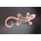 Close up of Front view of 3D salamander and hand painted dot art