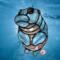 Limited Addition Color Baby Hippo