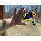Black-backed Kingfisher suncatcher in direct sunlight, hand showing size of suncatcher.