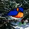 Bluebird suncatcher in direct sunlight.