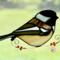 Chickadee Suncatcher in direct sunlight.