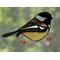 Chickadee Suncatcher in direct sunlight.
