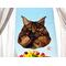 Brown Maine Coon