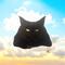 Black Maine Coon