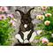 Gray Rabbit