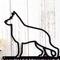 Close up of Belgian Shepherd metal wall art, in matte black powder coat.
