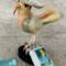 Maggie's very best friend and they travel together on holiday!
Meet Mavis May 