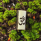 Ohm