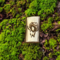 murder mushroom 