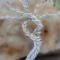 special tree trunk is twisted with a peep hole in the middle givng the look of a potential bird nest