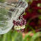 Lemon quartz and garnet cluster earrings in sterling silver by MariesGems.