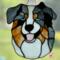 Shepherd shown in Blue Merle