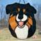 Shepherd shown in Black  Tricolor